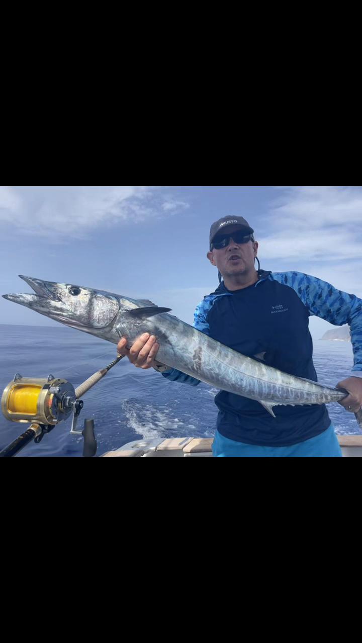 @Flipper II Madeira Fishing