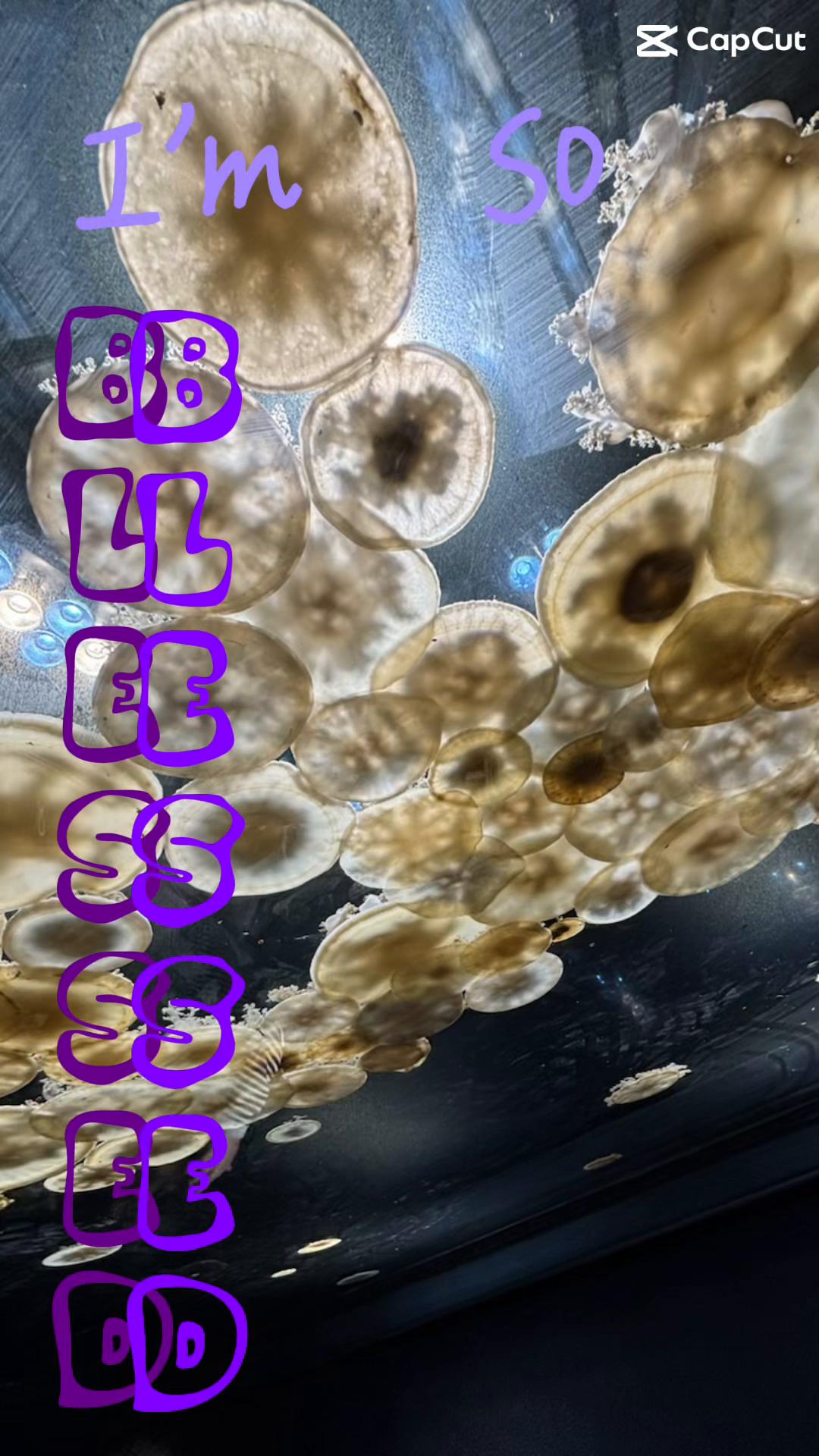 @✨💋 ⸆⸉