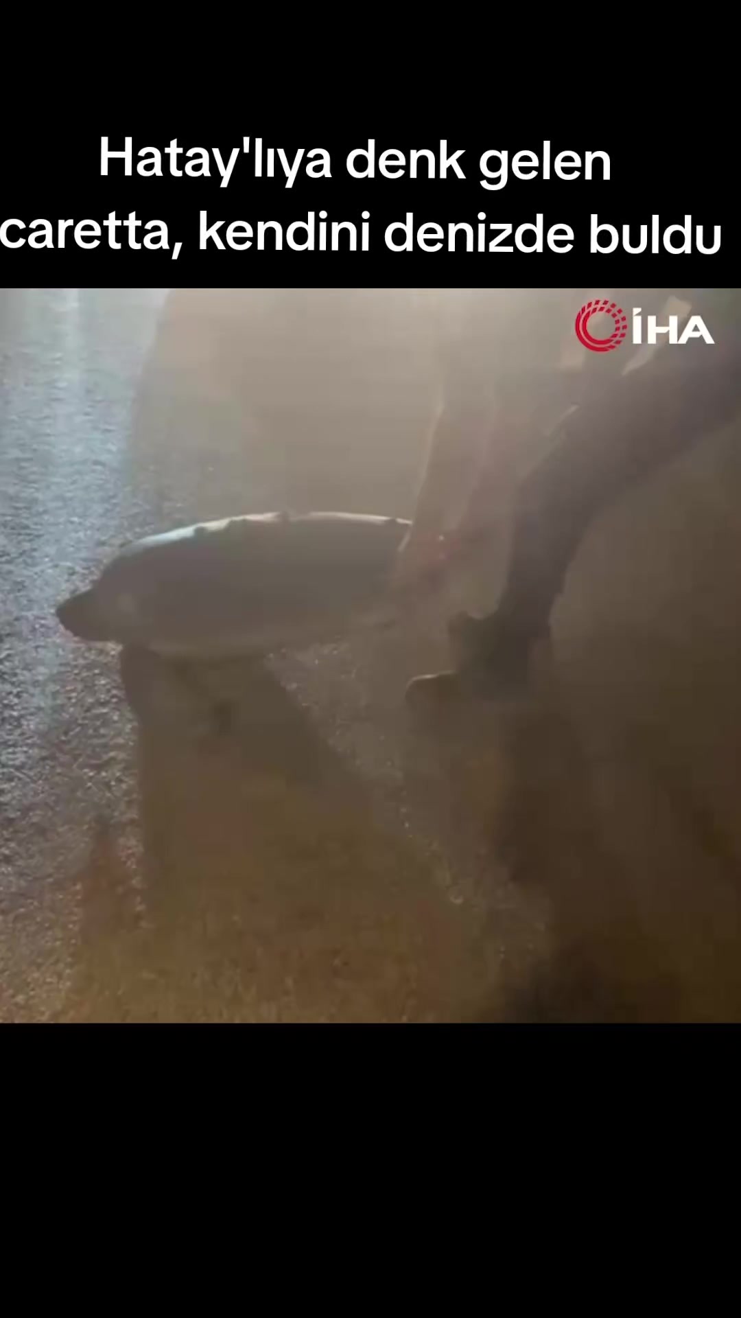 @Kırıkhan Sakinleri