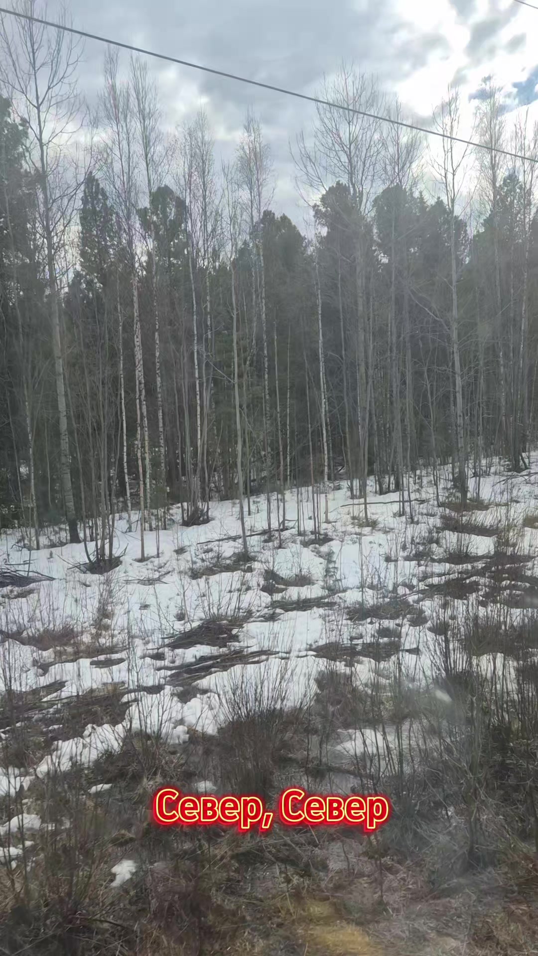 @Гузалия Жемчужная