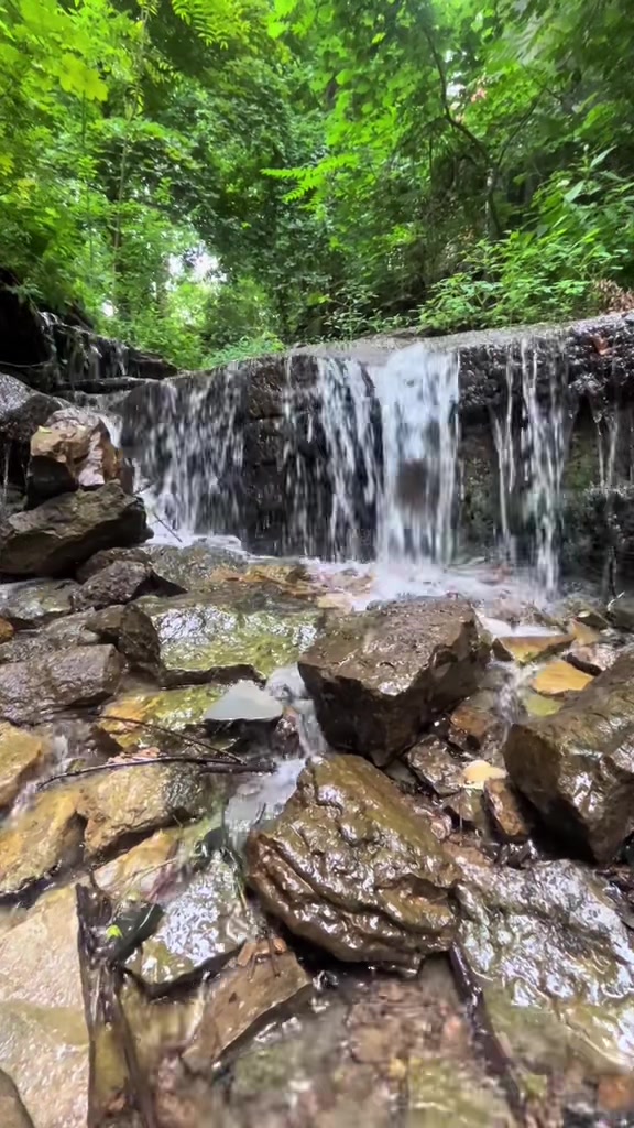 @goodnaturedjg