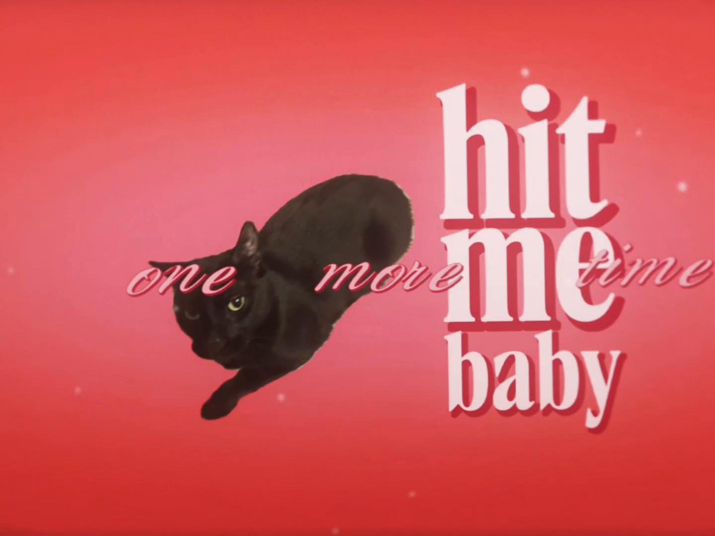 @CHARMANDER THE CAT!!
