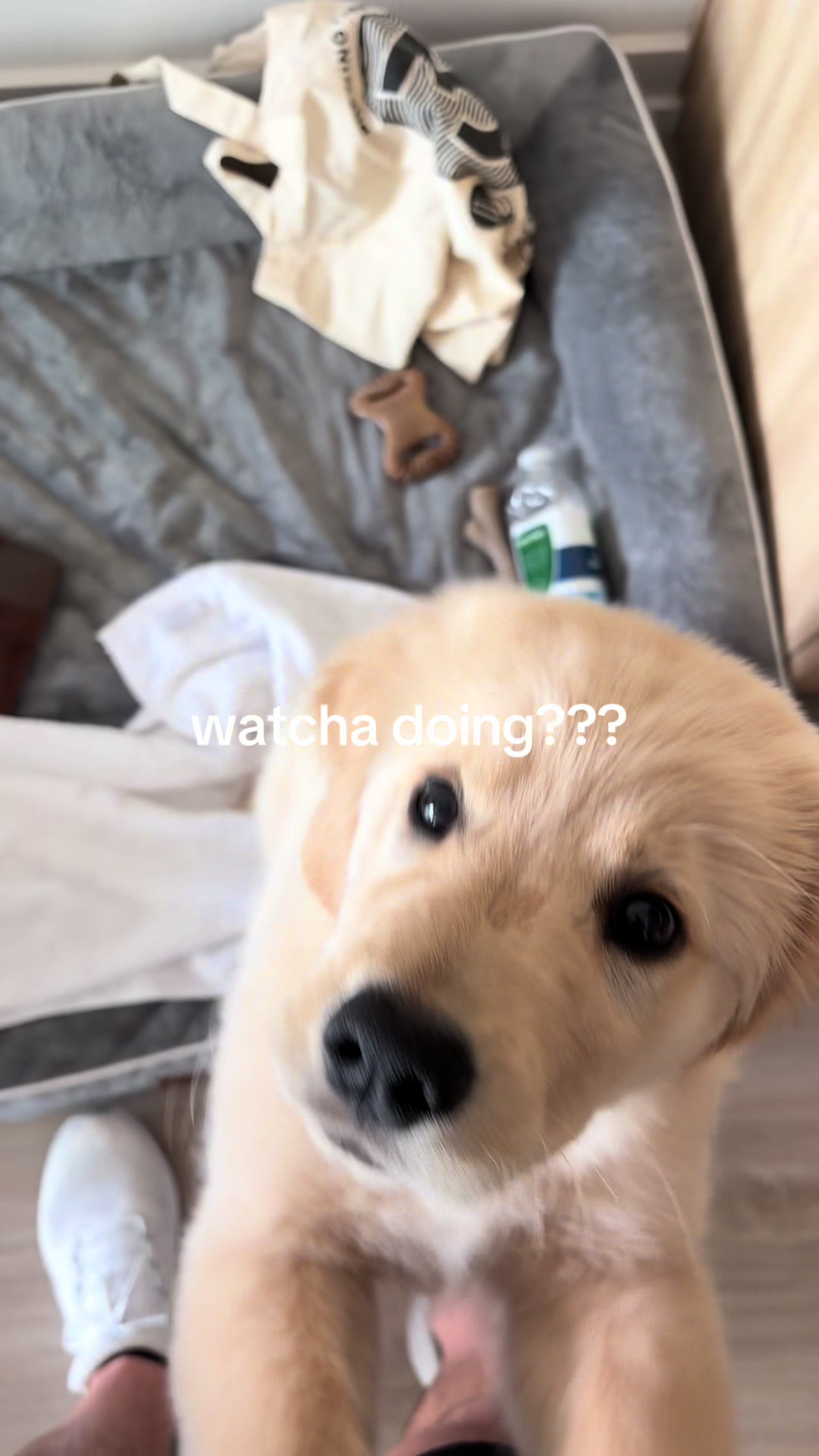@Luca the Golden