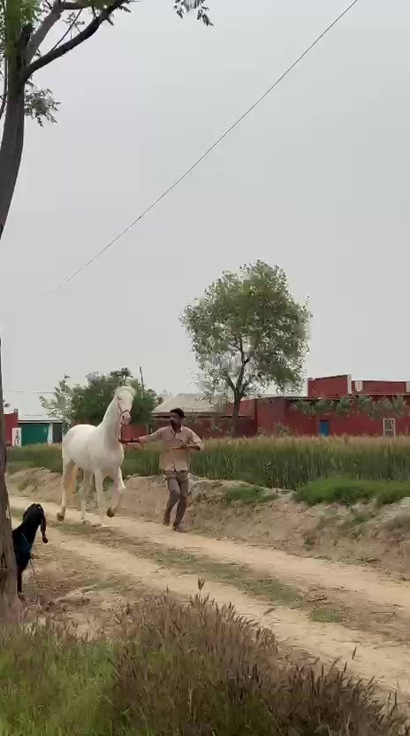 @sandhu307