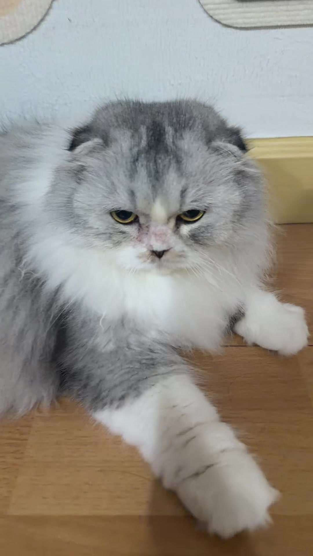 @น้องบัว ริศเยอะ