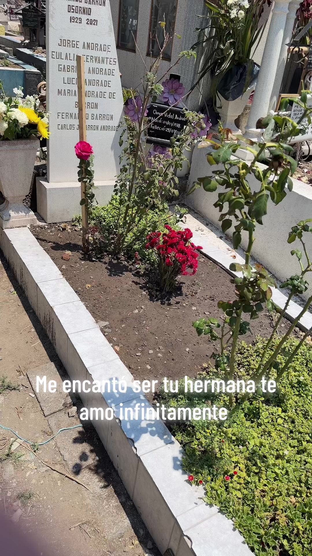 @Lupita Vidacp