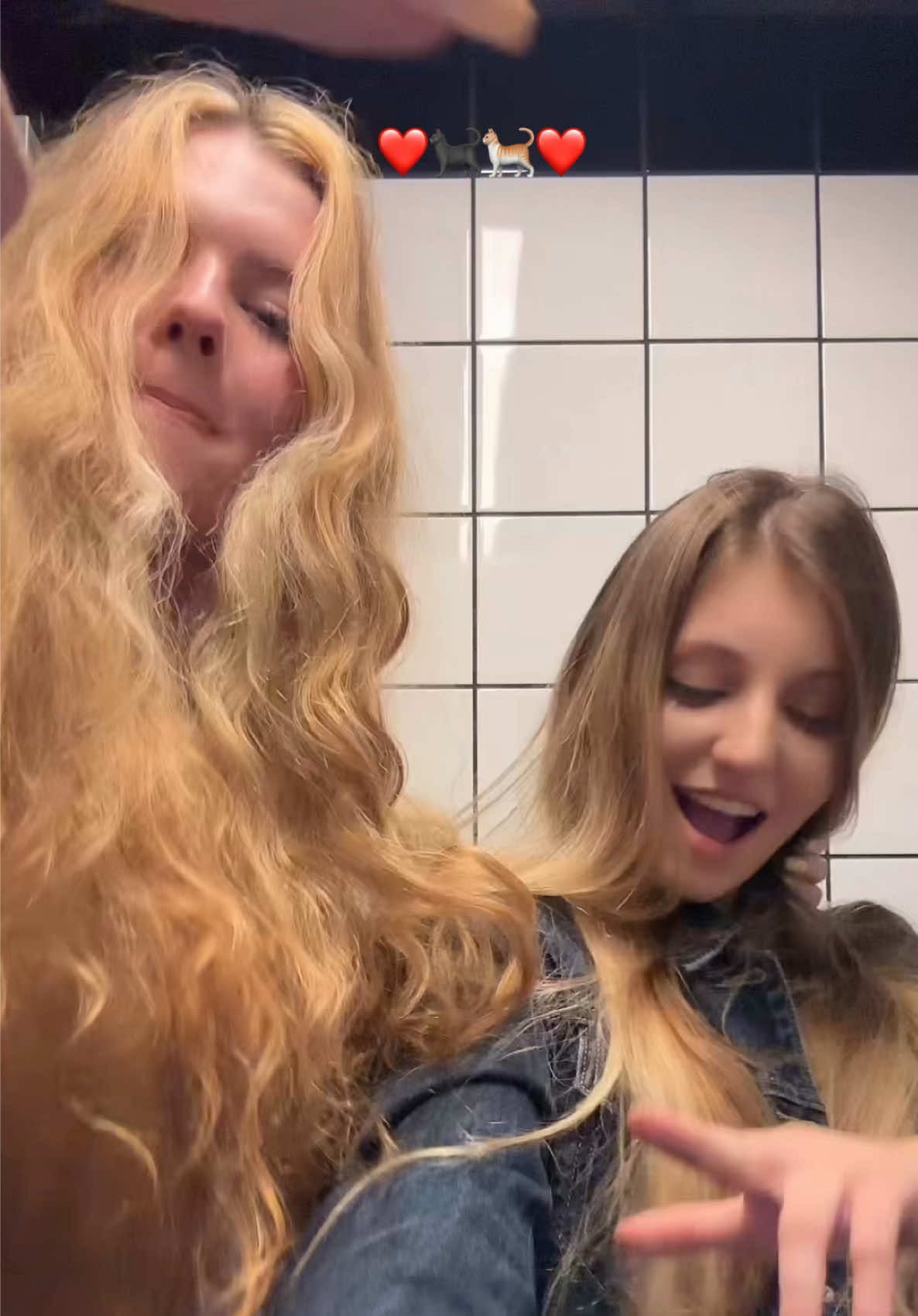 @chobanimonkey