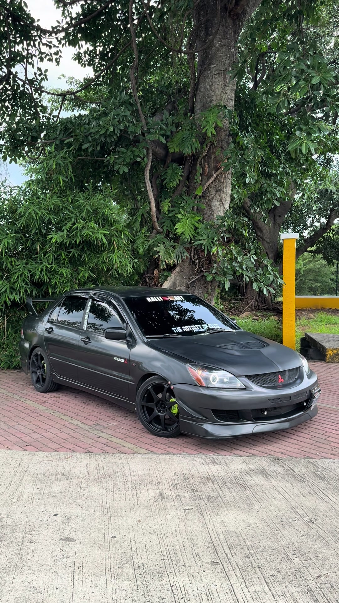 @Randy_Valdez7 🇬🇹🇯🇵🦈