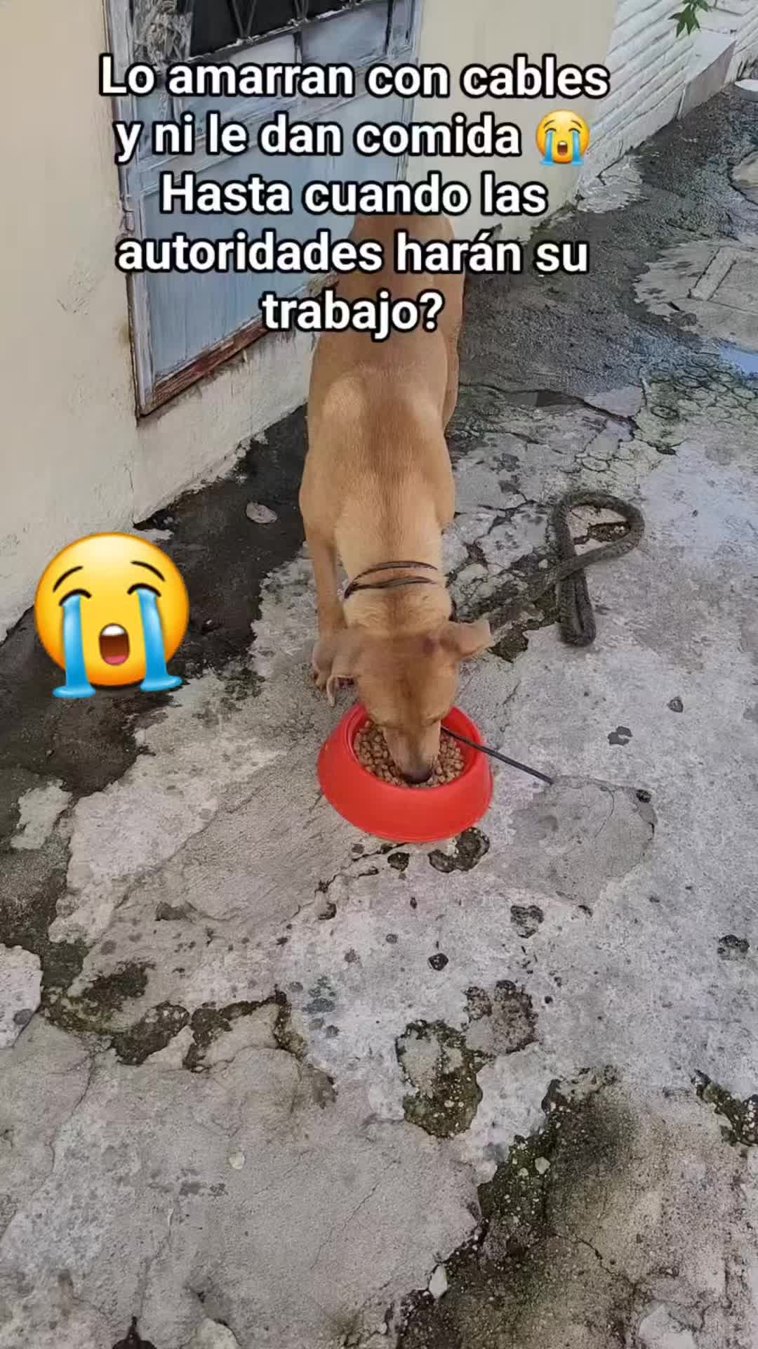 @𝕃𝕚𝕤𝕤 ℝ𝕖yes🇸🇻