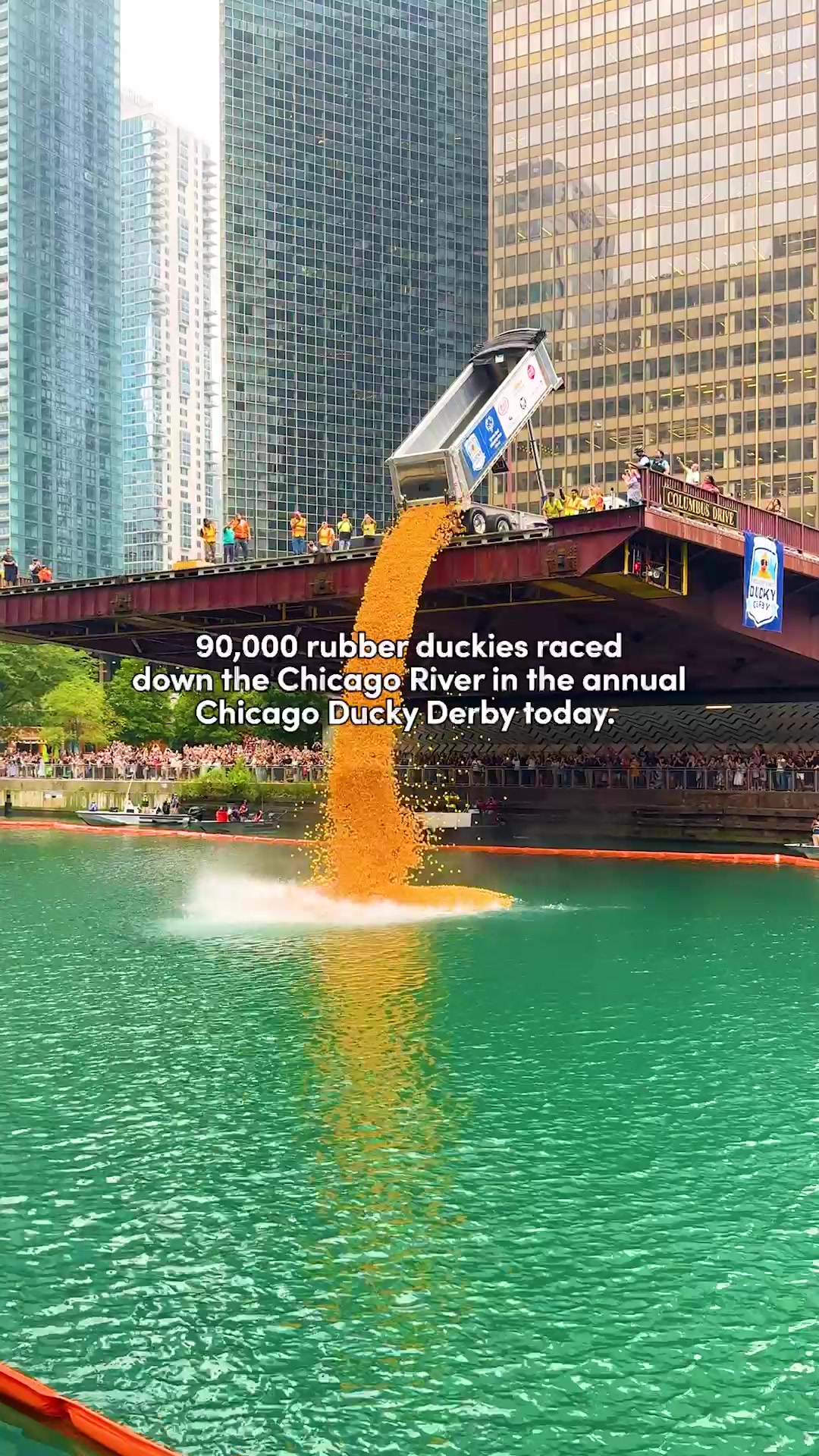 @Choose Chicago