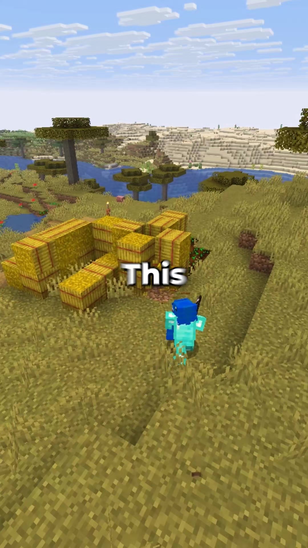 @RageMC
