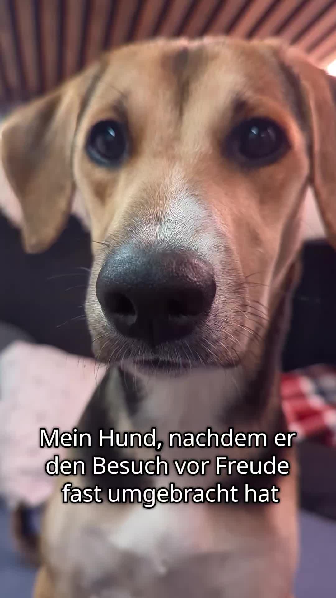 @ꪑⅈꪶꪖ ꪑꪮꪀᥴꫝꫝⅈᥴꫝⅈ