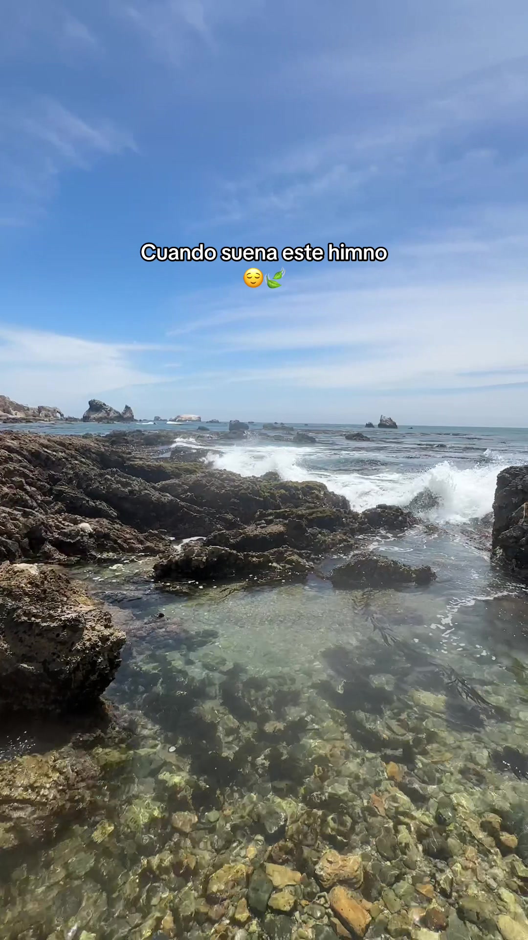 @Rene Carrasco