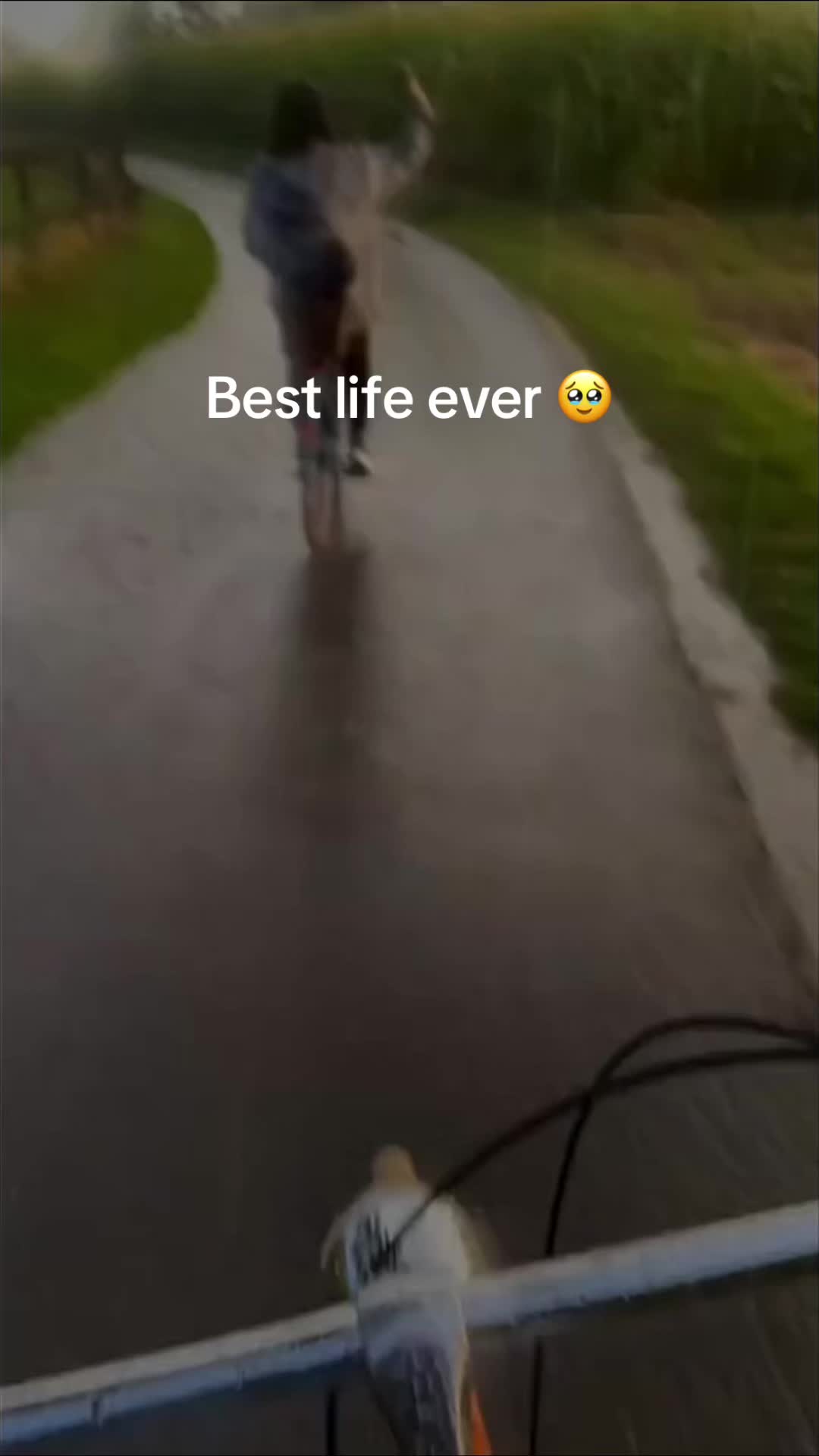 @raevr
