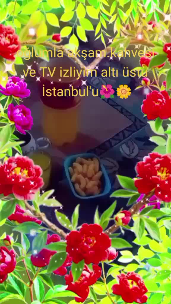 @Asya oktayim🌼🌺