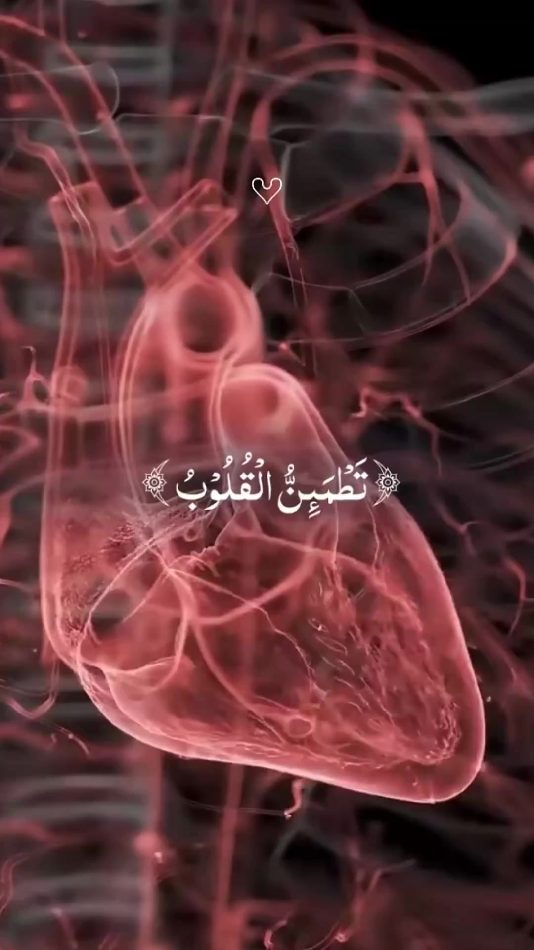 @Makkah and Madina.