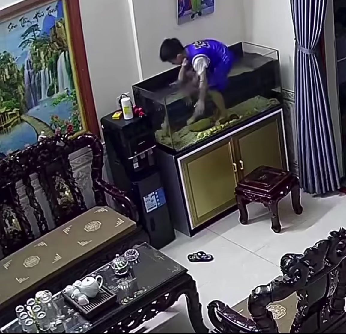 @Hải Đam Mê Du Lịch