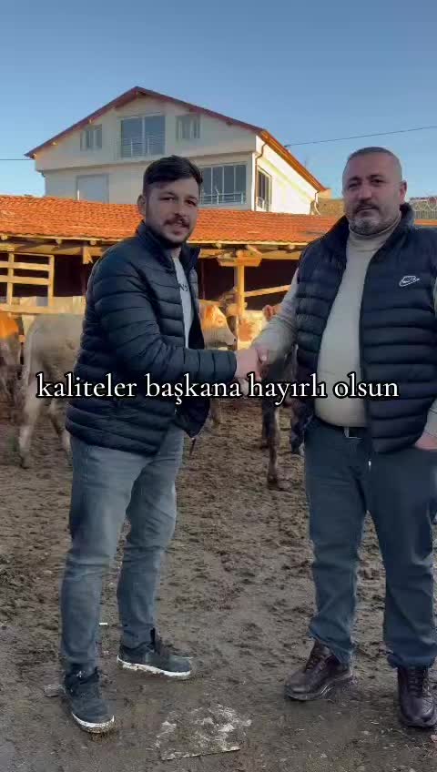 @Ender_yksl0