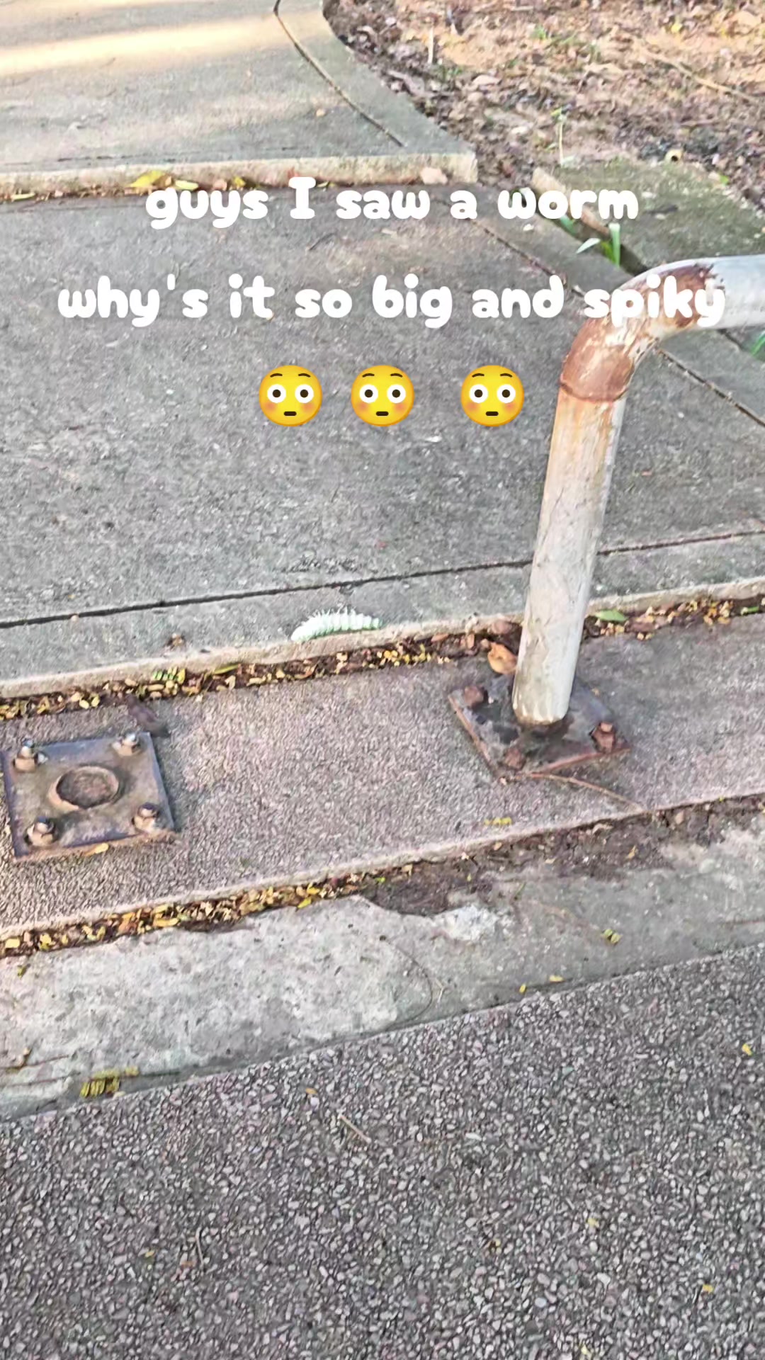 @apdui fan