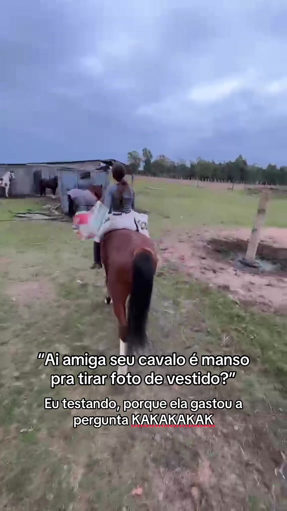 @Colorado da Baldez 🤎🐴