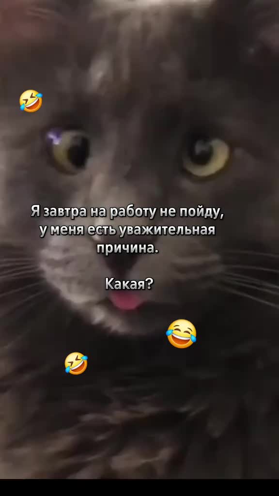 @user5084865435608