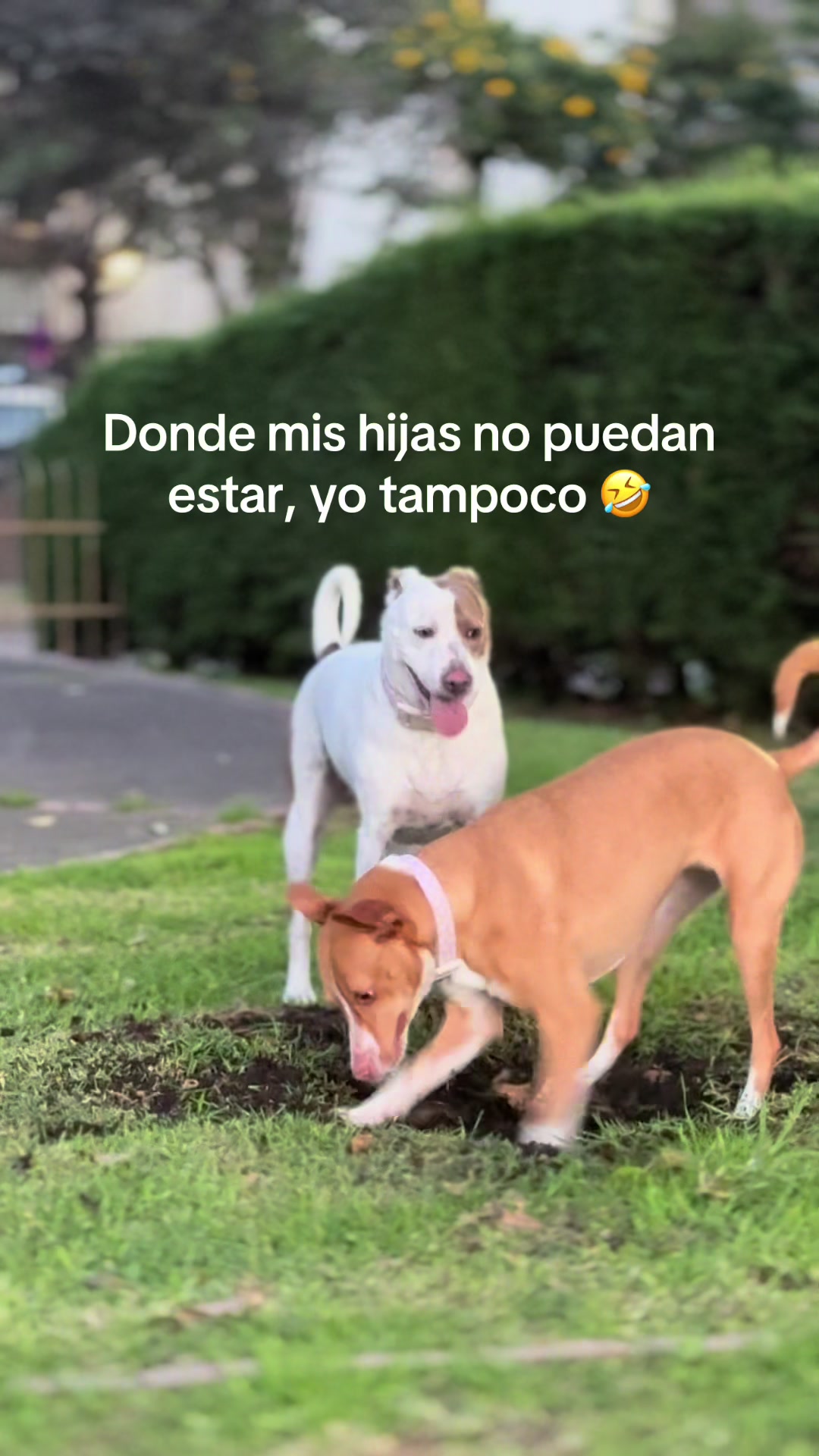 @Fer 🧡