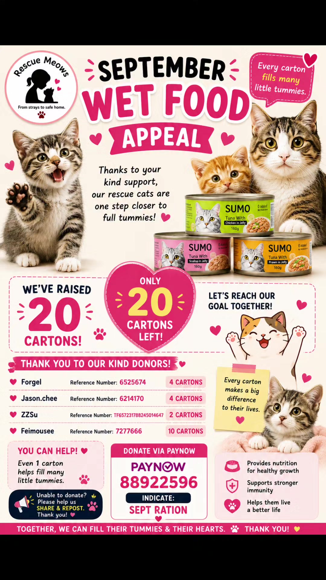 @Rescue Meows 🐈