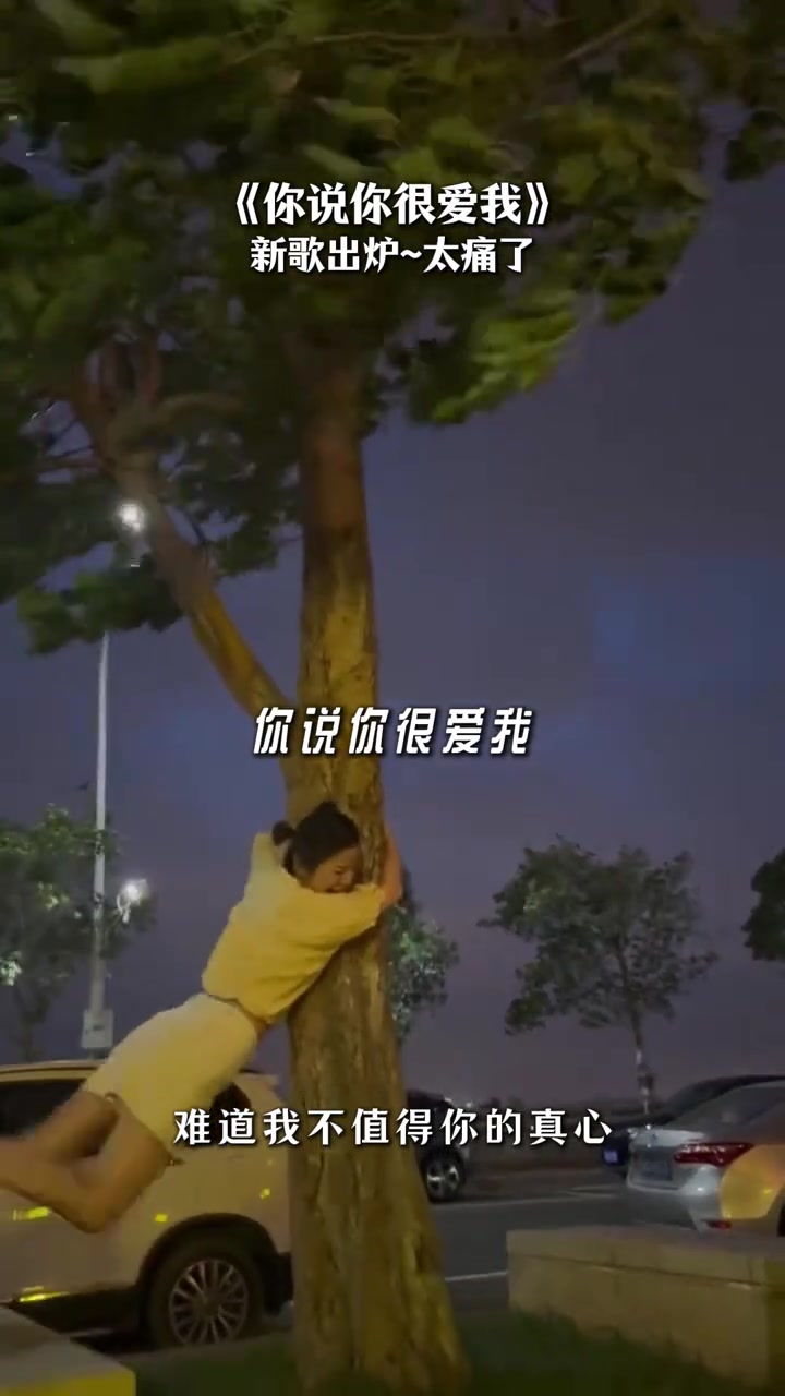 @ᰔᩚ᭄ℛ潇洒走一回꧔ꦿᩚ࿐🕊