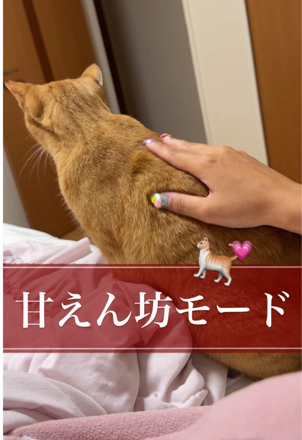 @さっことおちょ