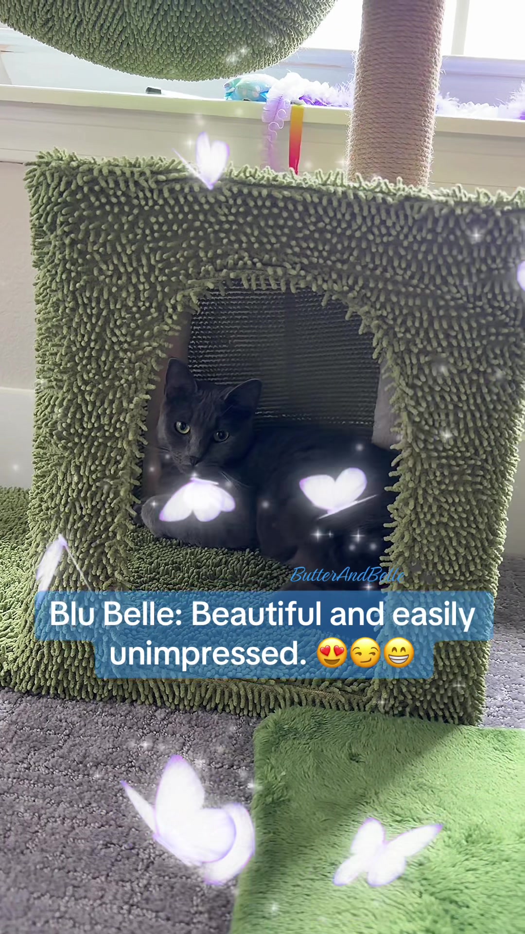 @ButterAndBelle