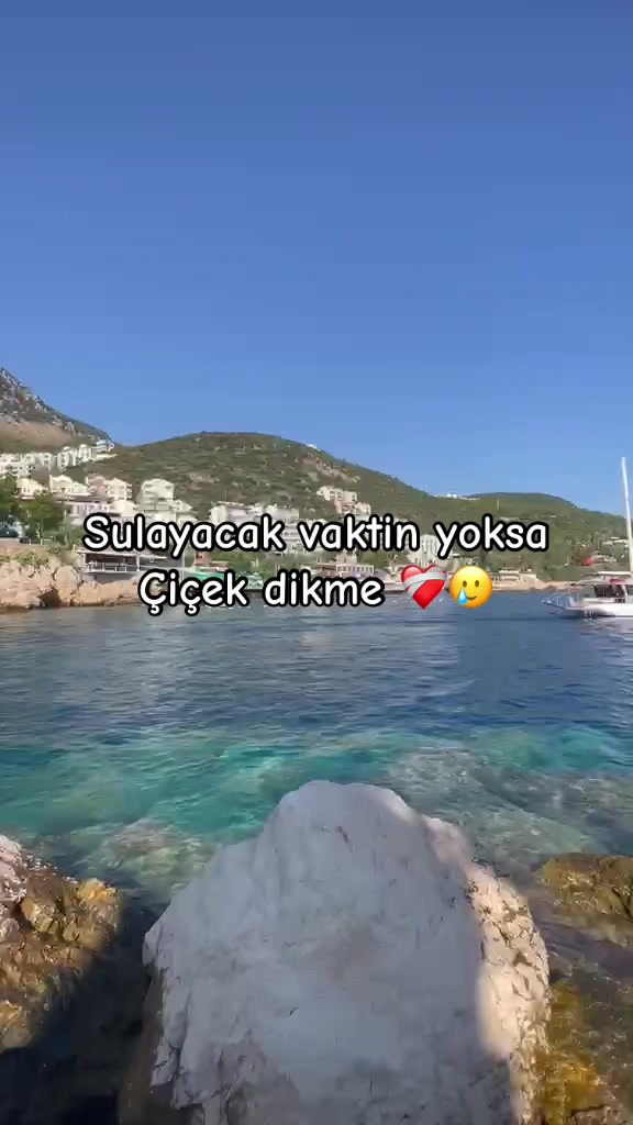 @busesr1