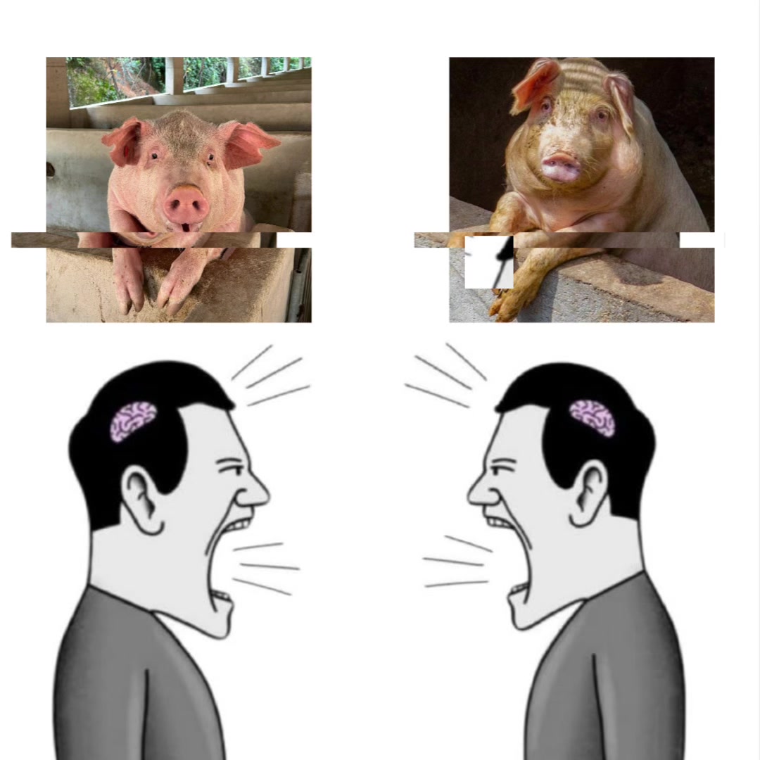 @биг свин🐖