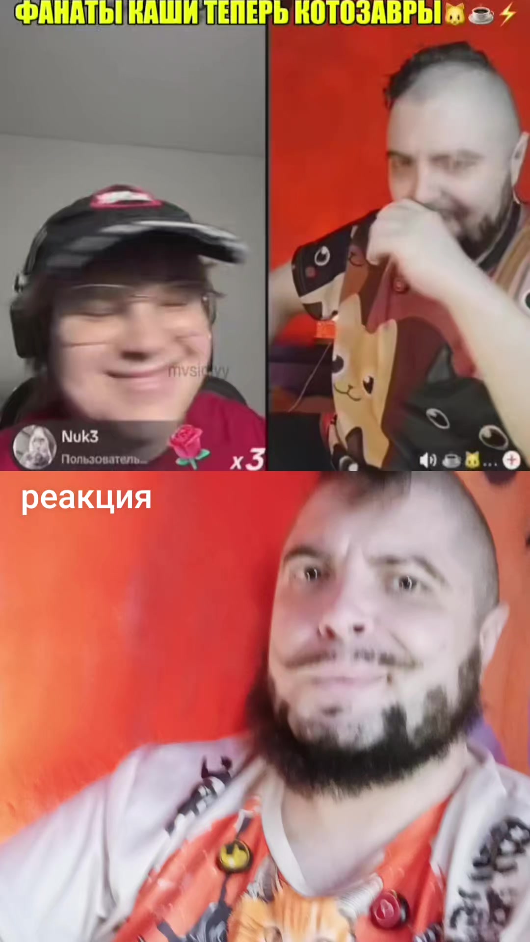 @☕🐱⚡️ КОТЭН ШТЕЙН 🧠⚡️🧟♂️