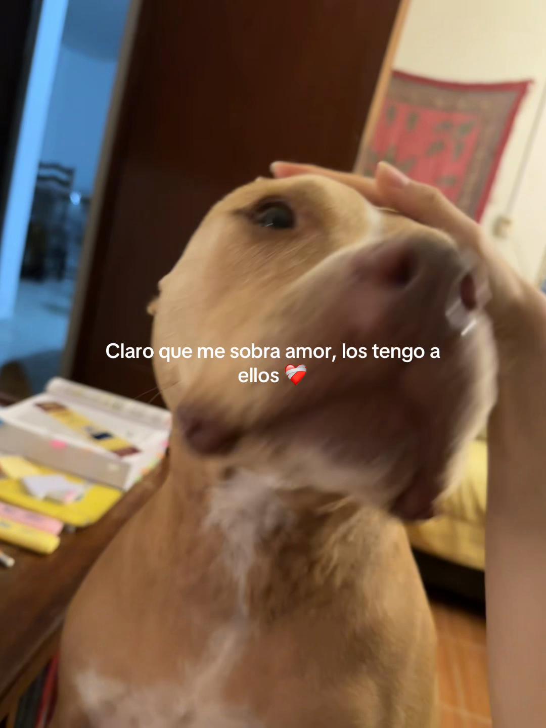 @th1rdf