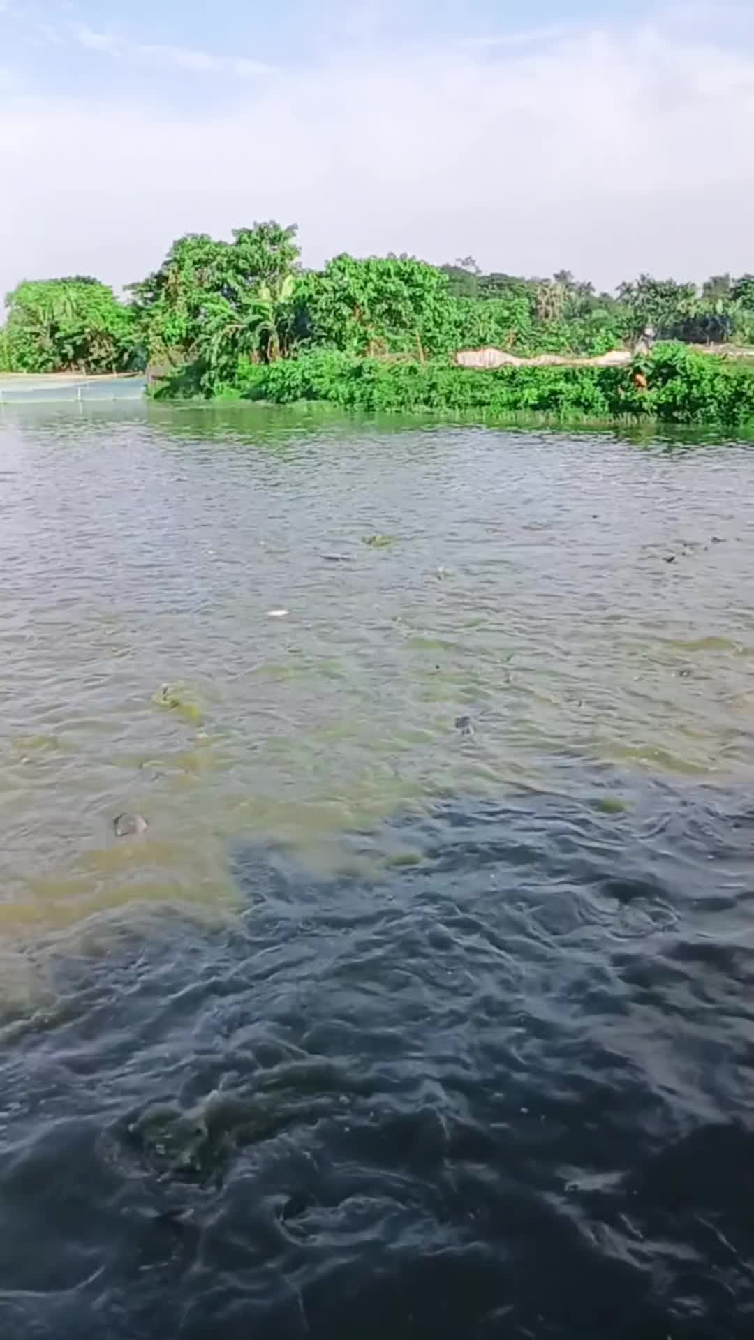 @সুজন মিয়া