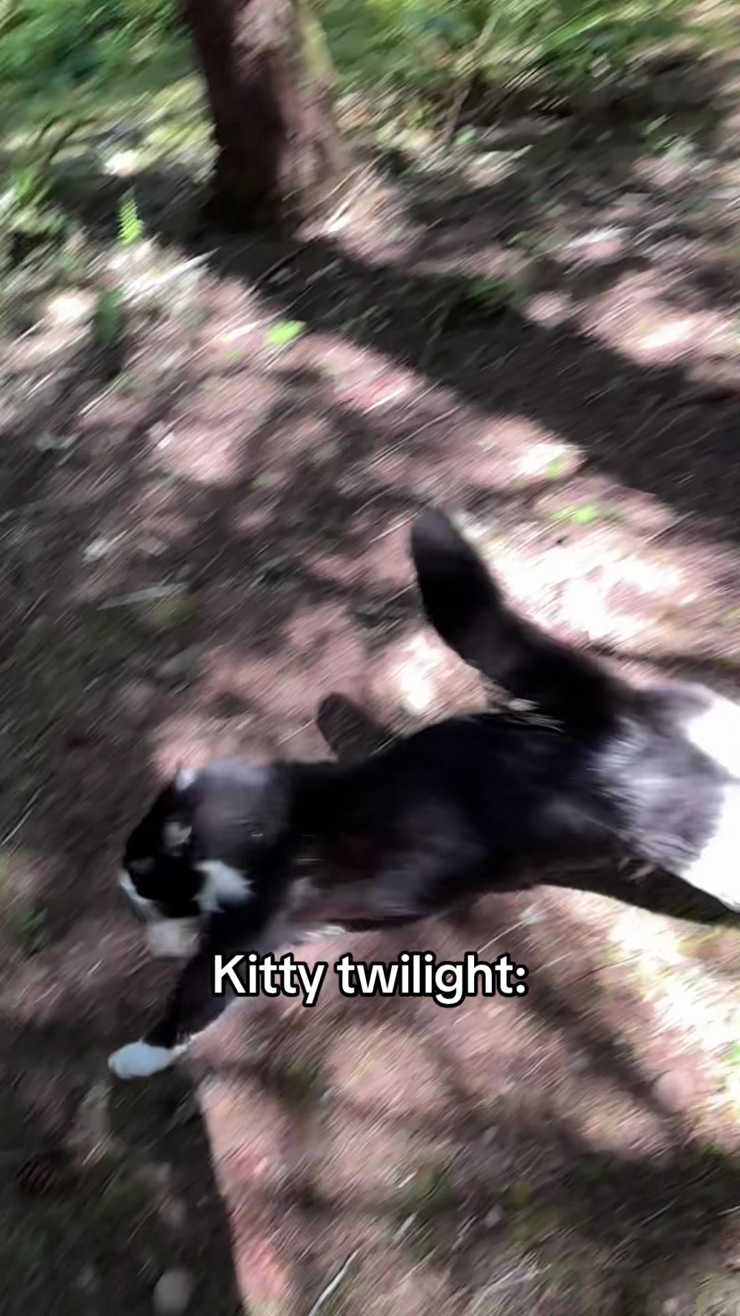 @itsbubblesinthewoods
