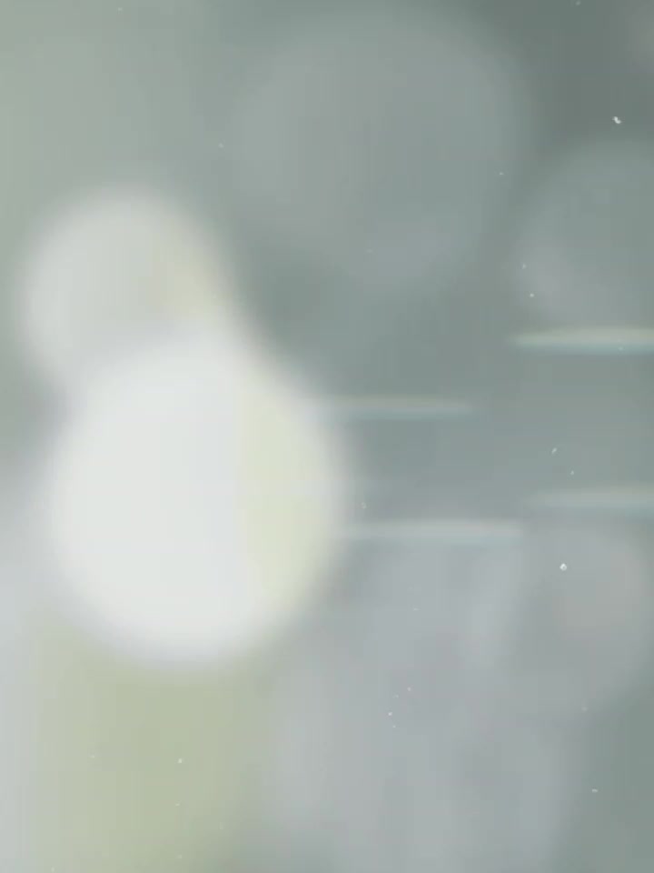 @⏤͟͟͞͞★𝐍𝐎𝐃𝐈 🕊️.⋆