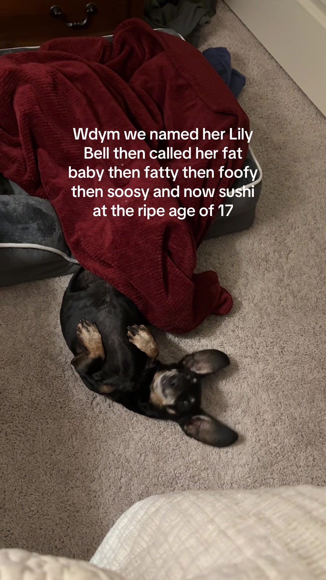 @Hazel & Heidi