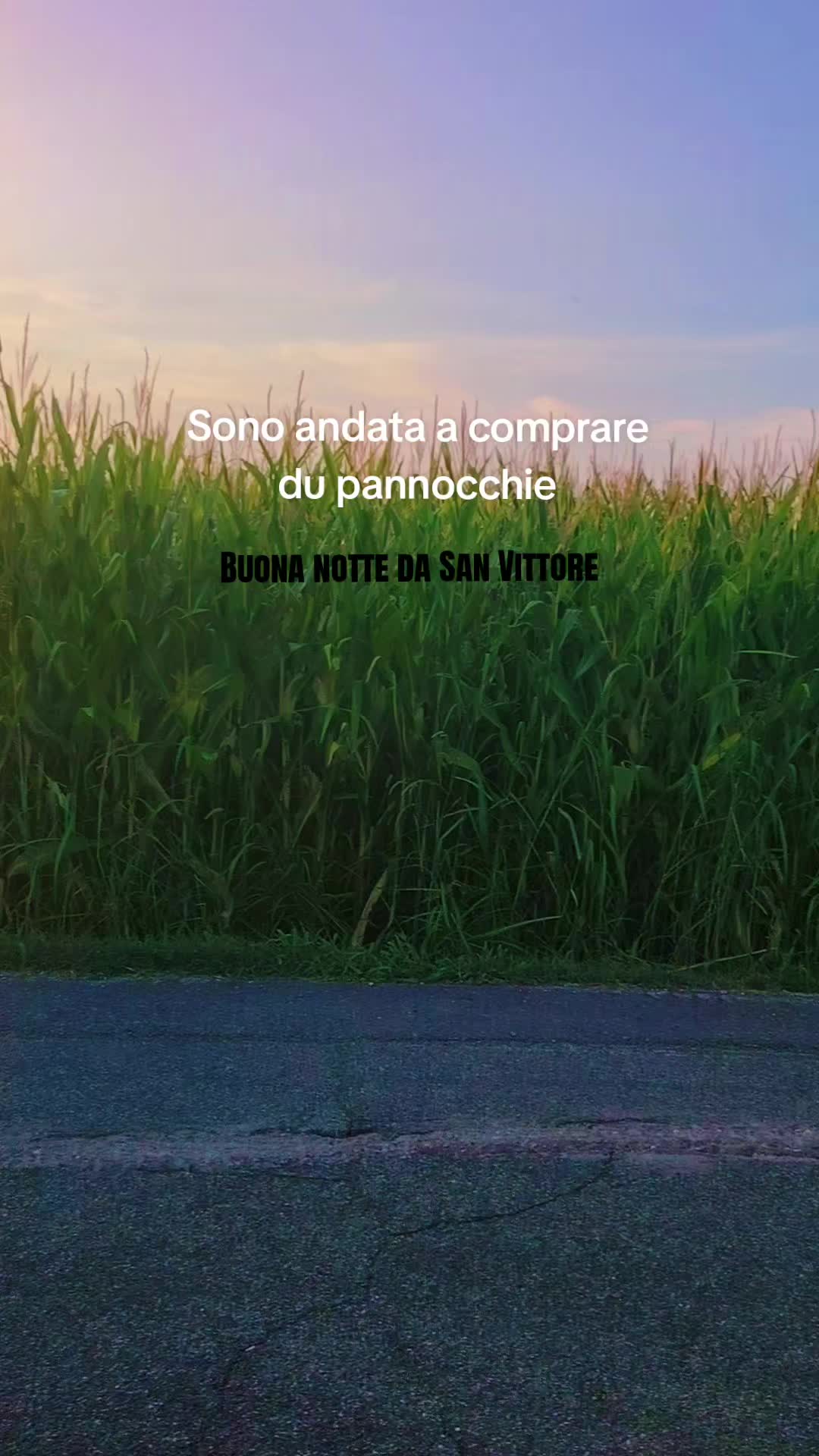 @Myself _🖤🌵_🖤¿🌵 🖤 _