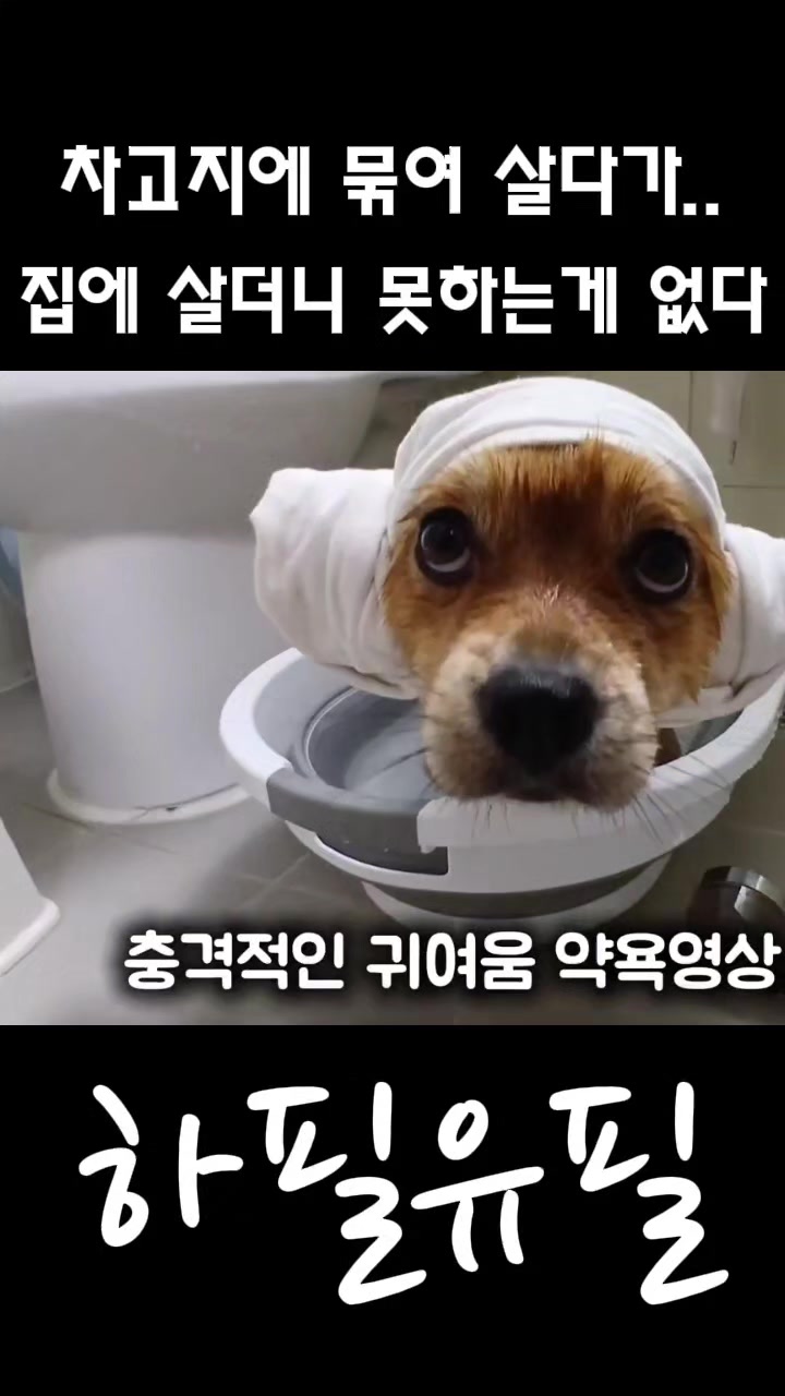 @하필유필