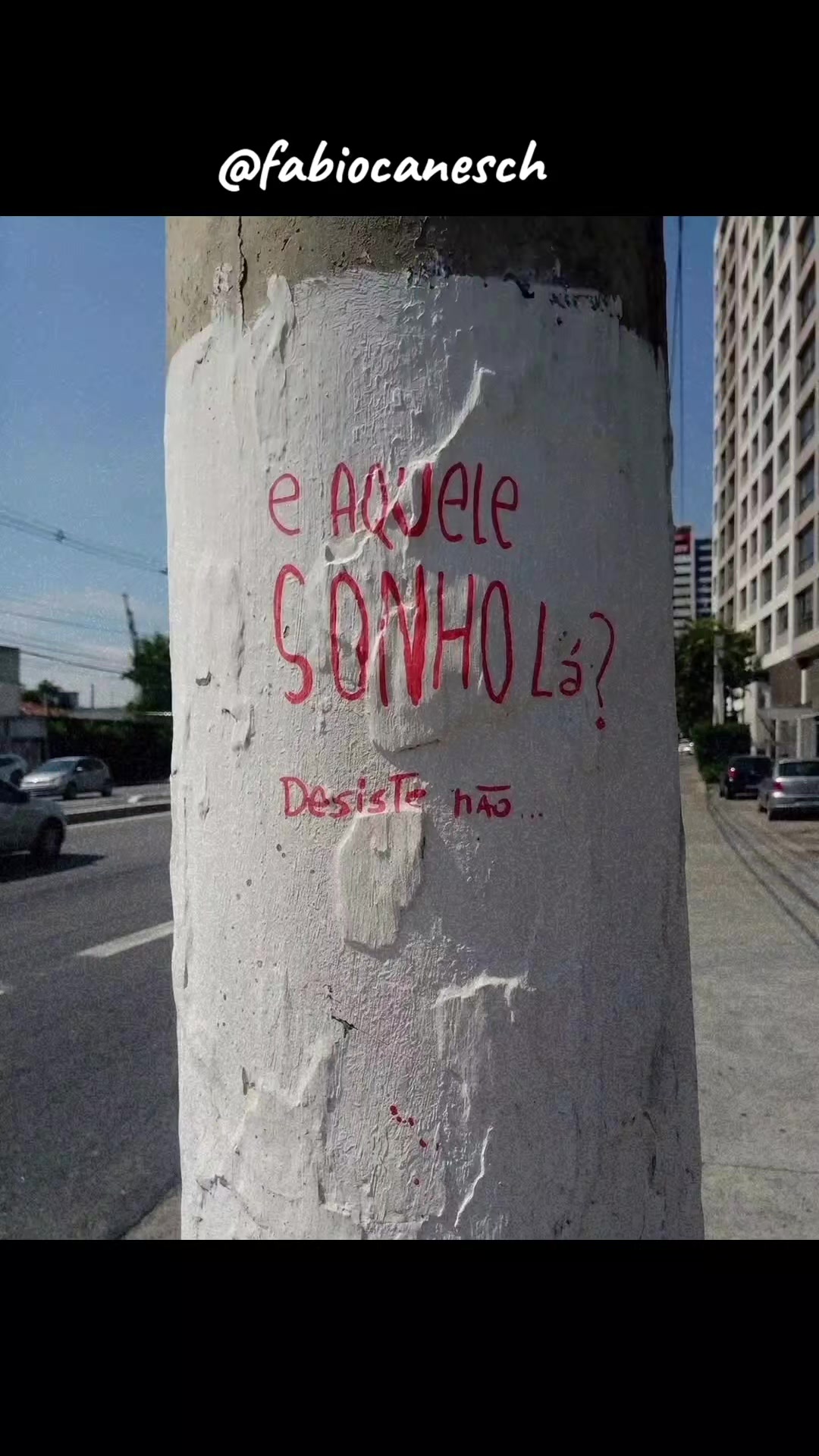 @Fábio caneschi de Oliveira