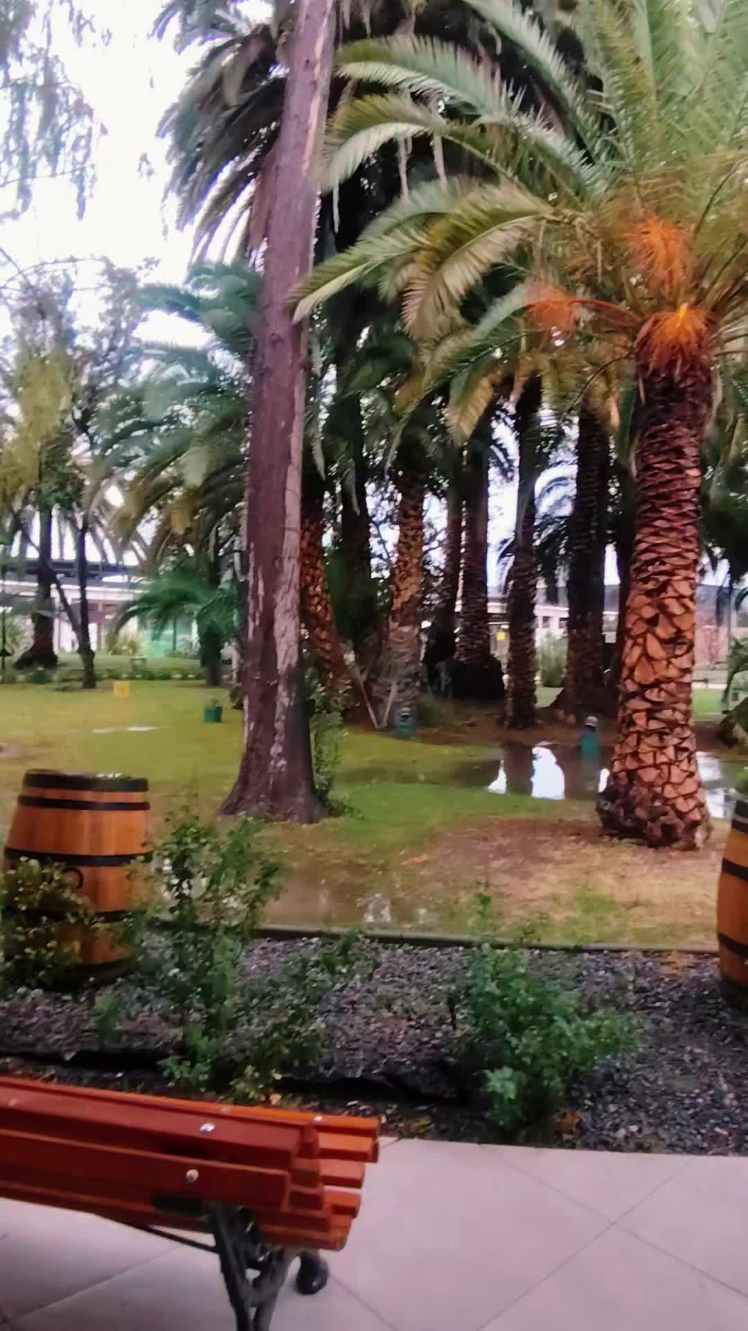 @ANDRESITO 🇨🇱🇨🇱🇨🇱🫶