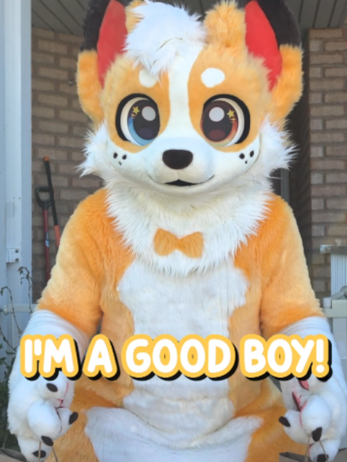 @Corgi
