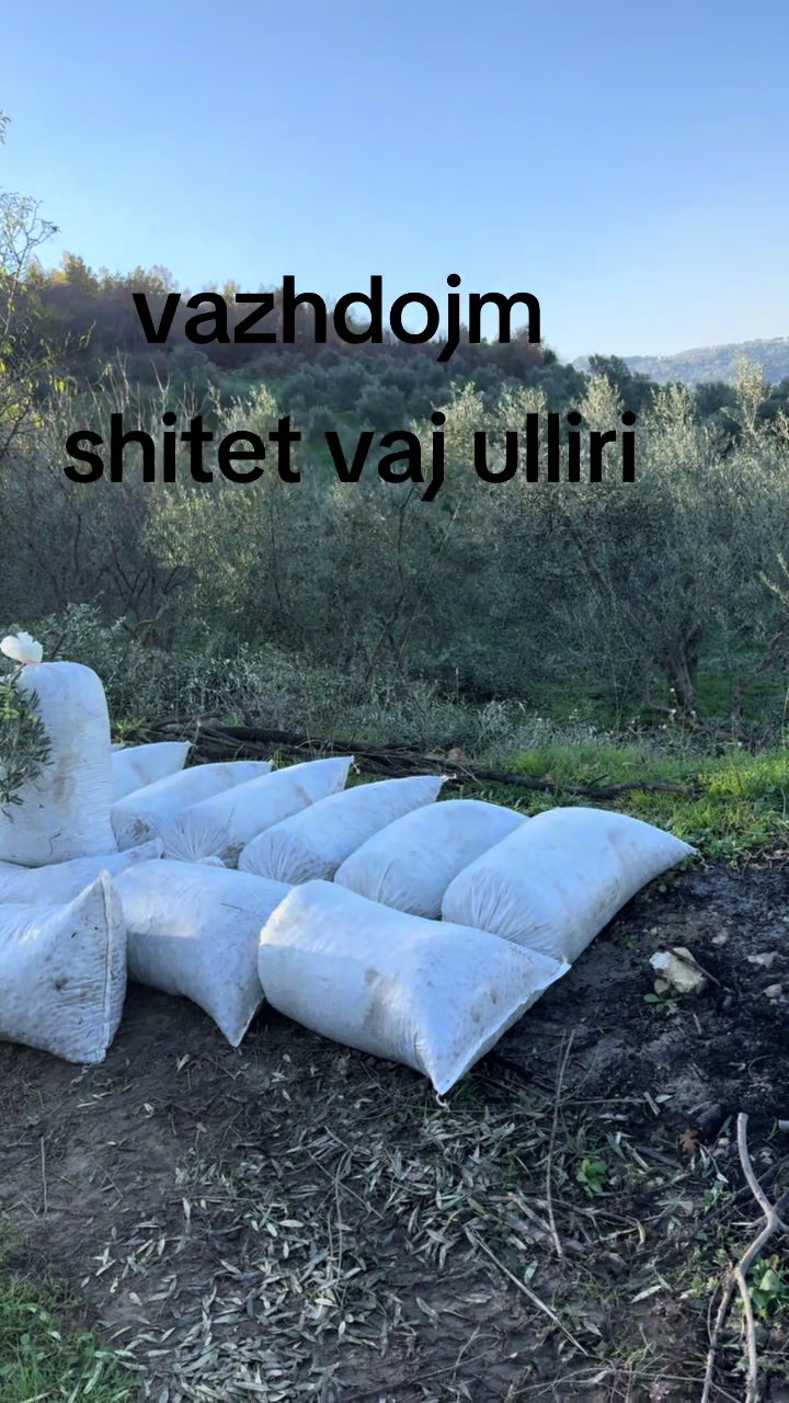 @fabrik vaj ulliri Luan Bengaj