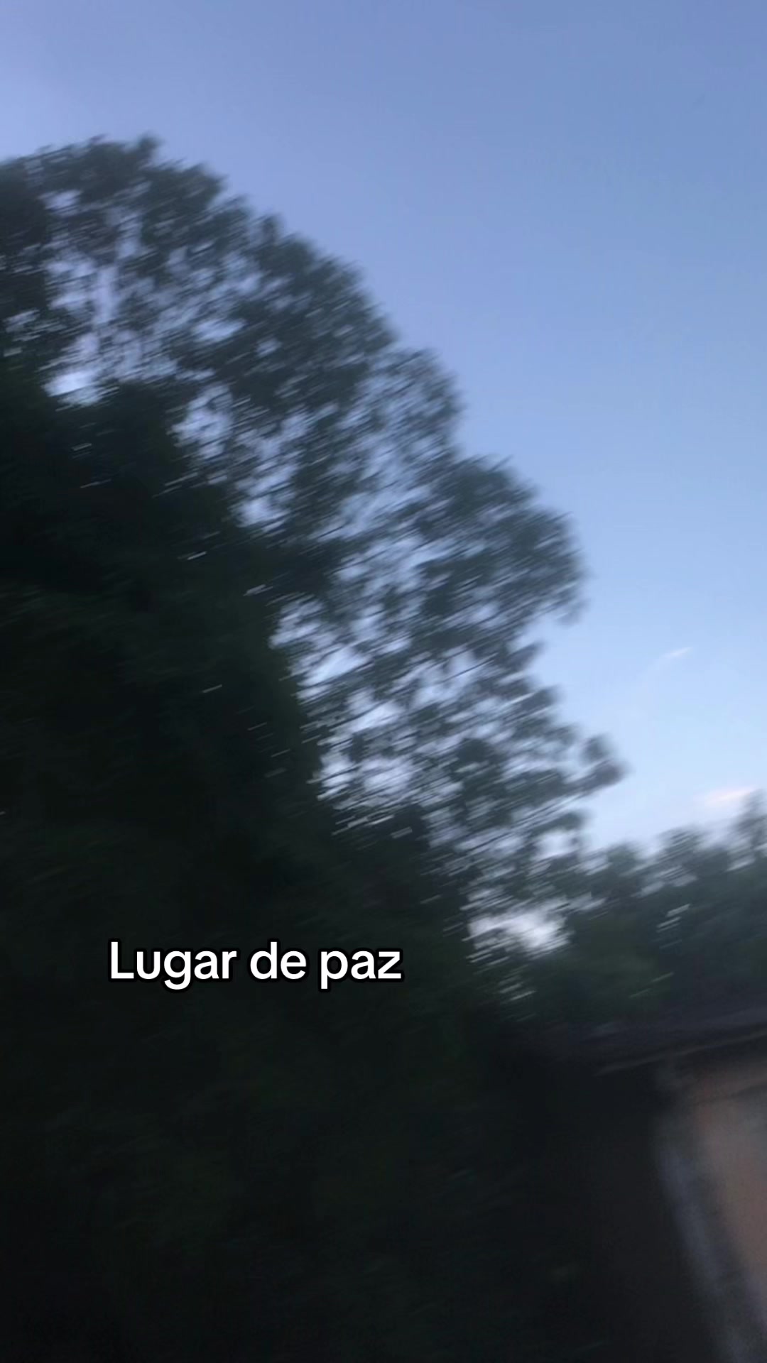 @dominiquedacostamendes