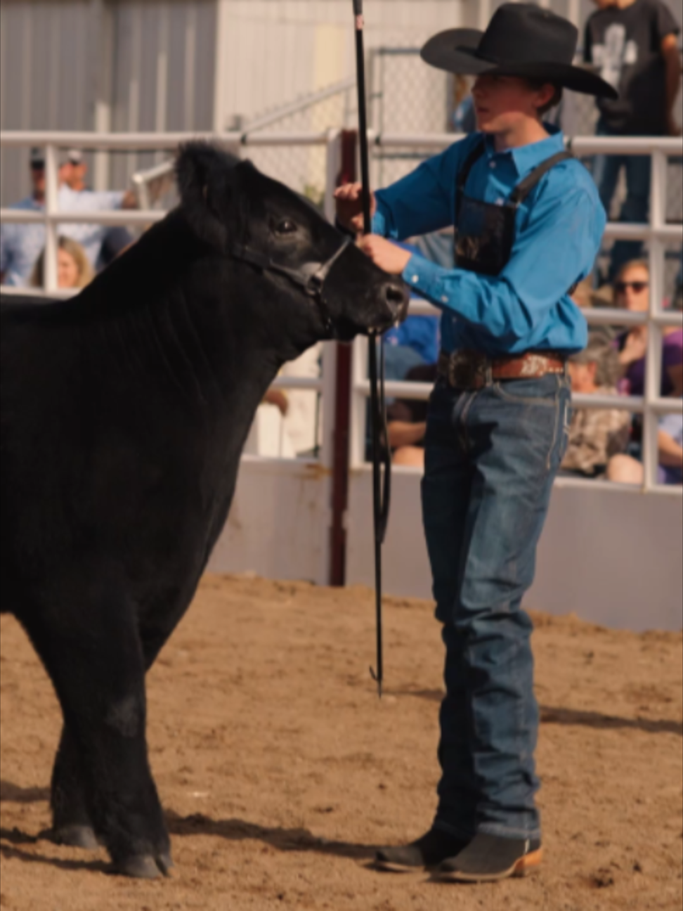 @AZ National Livestock Show