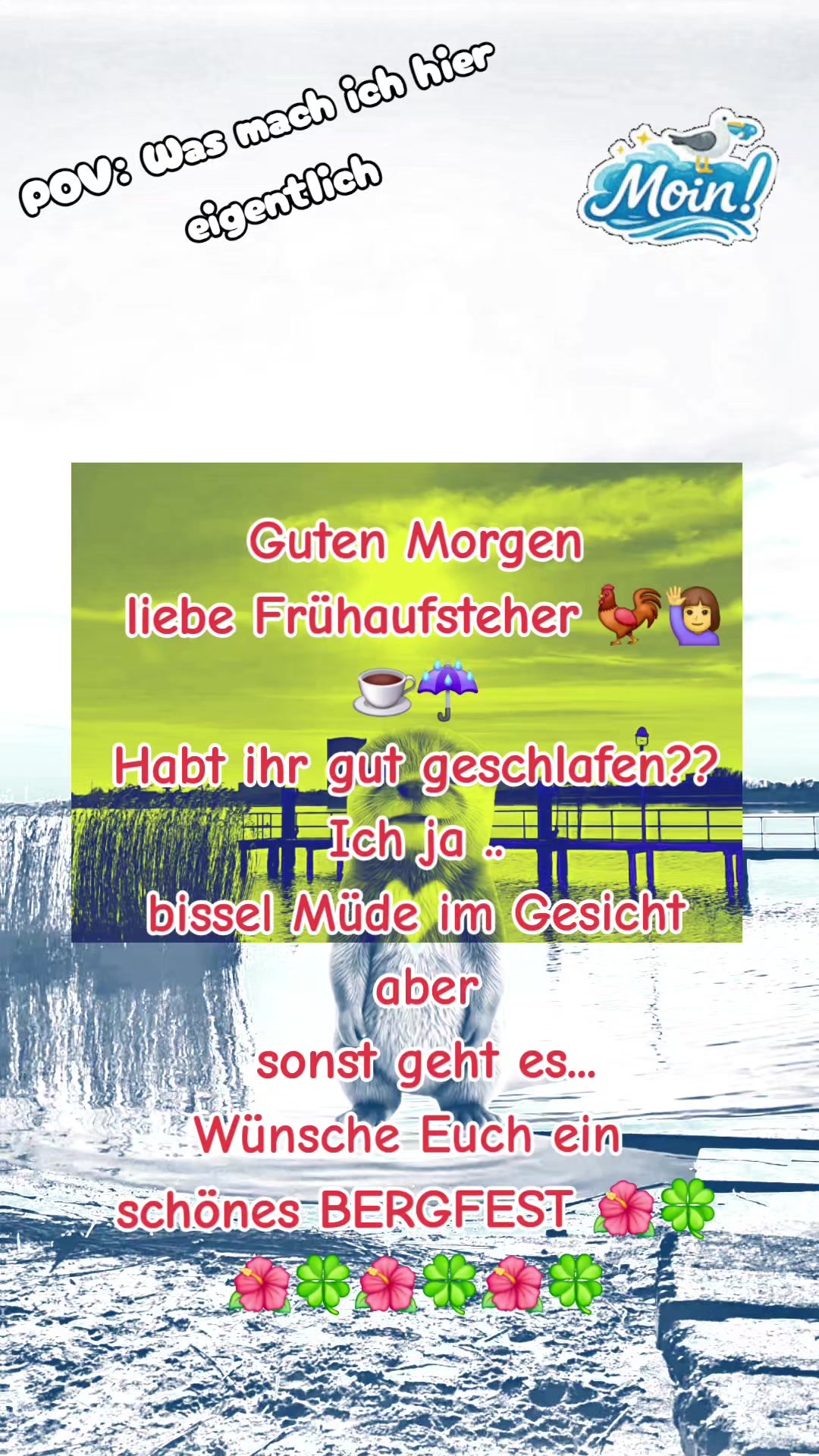 @⚓️♡🦢Caro von der K&uuml;ste 🦢♡⚓️
