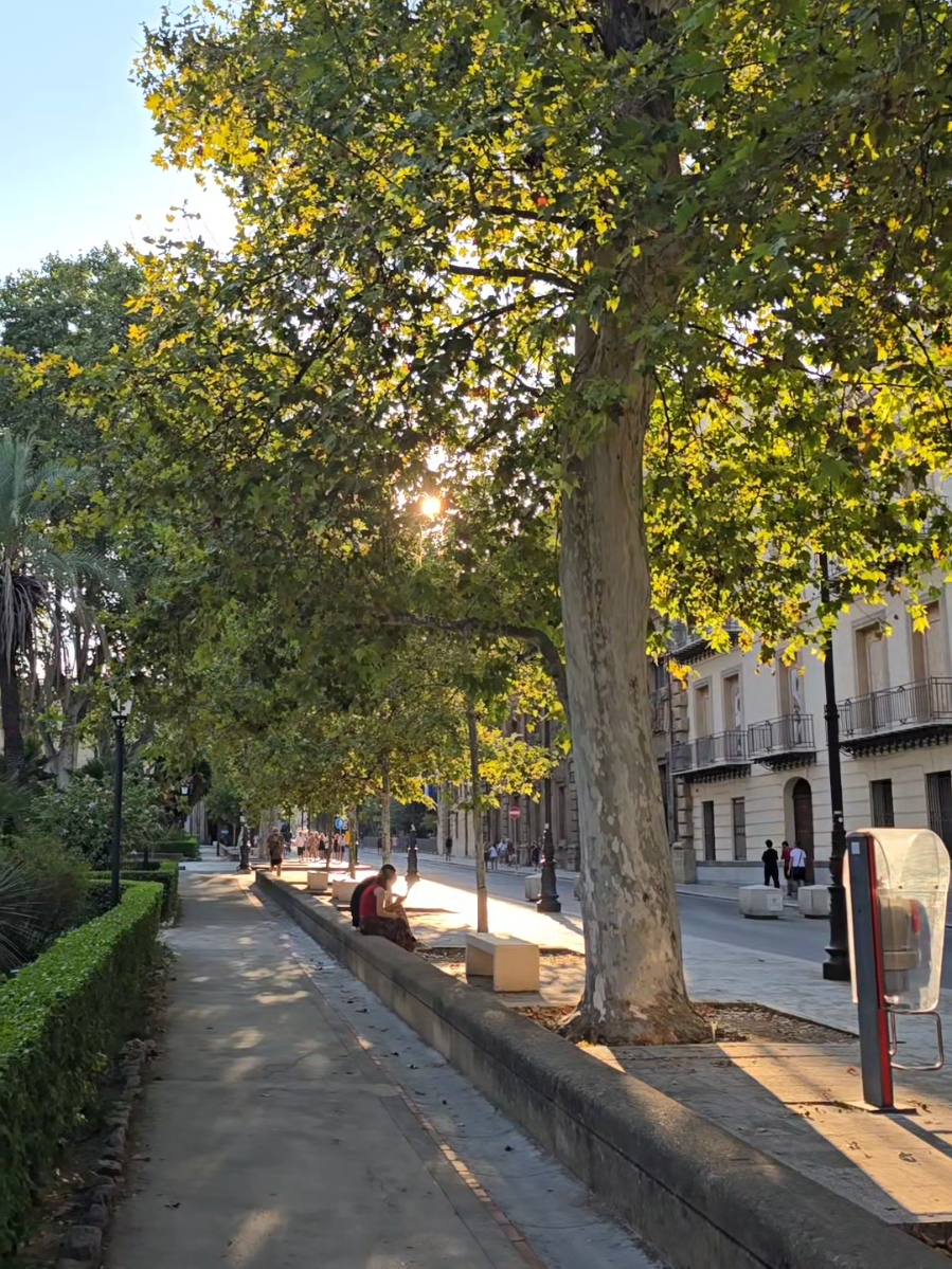 @MondoPalermo