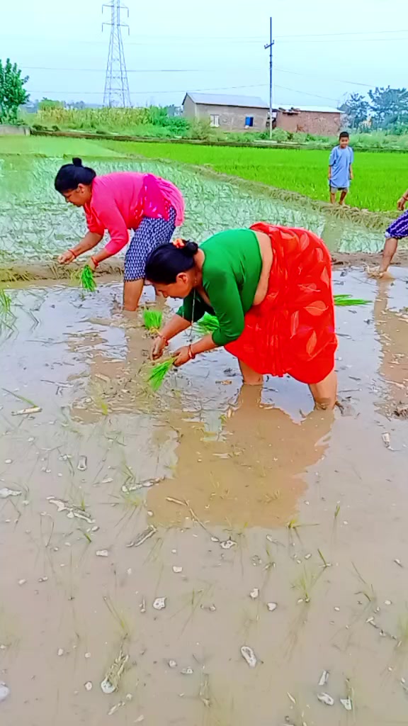 @Shyam Kumari pokhrel