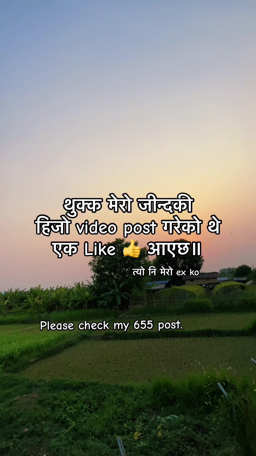 @LYLY 